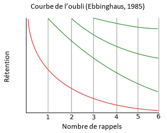 courbe_de_l_oubli.png